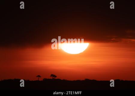 Savana Landschaft in Masai Mara Stockfoto