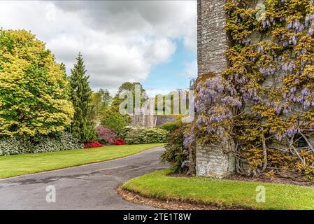 Buckland Abbey und Gärten, ein 700 Jahre altes Haus in Buckland Monachorum, in der Nähe von Yelverton, Devon, England Stockfoto