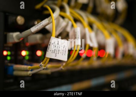 Selektiver Fokus auf die Kennzeichnung von Glasfaserkabeln, die mit optischen Anschlüssen verbunden sind, Hintergrund Stockfoto