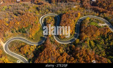 Blick aus der Vogelperspektive auf die inegol domanische Straße mit wunderschönen Herbstfarben der Natur Stockfoto