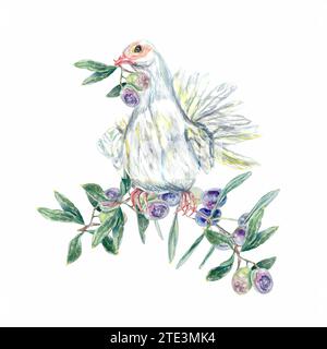 Weiße Taube mit einem Olivenstiel, der auf einem Ast sitzt. Aquarellabbildung isoliert auf weißem Hintergrund. Etiketten, Verpackungen, Prospekte, Umschläge, Karten, i Stockfoto