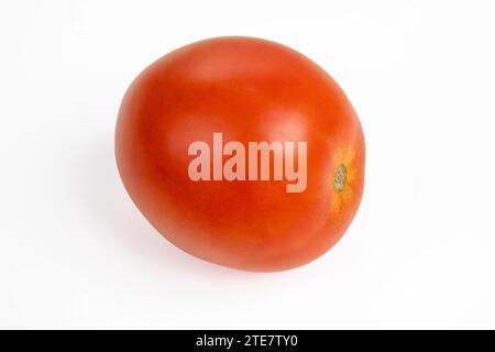 Reife Pflaumentomate auf weißem Hintergrund mit natürlichem Schatten - frisches Bio-Gemüse Stockfoto