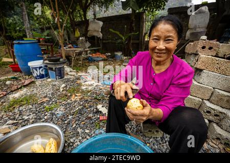 Eine Frau aus Vietnam bereitet Essen zu Stockfoto