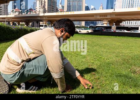 Dubai, Vereinigte Arabische Emirate. Dezember 2023. Ein Mann feucht Gras im Zentrum von Dubai, Vereinigte Arabische Emirate an einem heißen Morgen. Die COP28, die von November 30 bis Dezember 12 läuft, konzentriert sich auf die Frage, wie bestimmte Nationen die Verwirklichung ihrer Klimaziele bewältigt haben. Die Konferenz in Dubai konzentriert sich auch auf die am stärksten gefährdeten Gemeinden und den Schaden- und Schadensfonds. Quelle: SOPA Images Limited/Alamy Live News Stockfoto