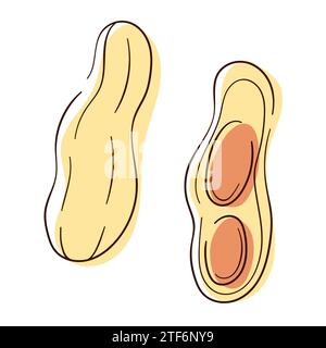 Erdnusssymbol im Stil von Linien- und Farbkunst. Design für Erdnussbutter-Paket. Vektorillustration auf weißem Hintergrund isoliert. Stock Vektor