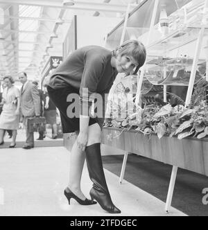 Internationale Schuhmesse in Jaarbeurs in Utrecht, weibliches Model, das ein Paar stilvolle Stiefel anprobiert. April 1964 Stockfoto