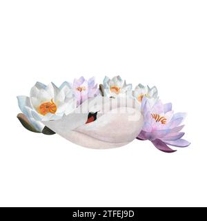 Aquarellschlafender weißer Schwan mit Wasserlilien anmutig netter junger Vogel Hand gezeichnete Illustration für Babydekor 2024 Kleidung, Hochzeitseinladungen Stockfoto