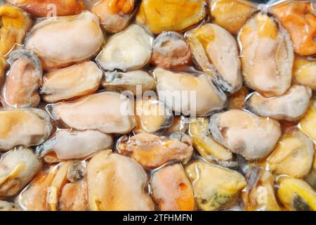 Verpackt, kalte Muscheln Fleisch, Iced Seafood, gekochte Muscheln Textur Stockfoto