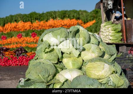 Kohl zum Verkauf, der von seinem Bauernhof geerntet und frisch präsentiert wurde Stockfoto