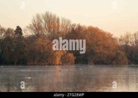 Frostiger Morgen im Colwick Park in Nottingham, Nottinghamshire England Großbritannien Stockfoto