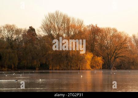 Frostiger Morgen im Colwick Park in Nottingham, Nottinghamshire England Großbritannien Stockfoto