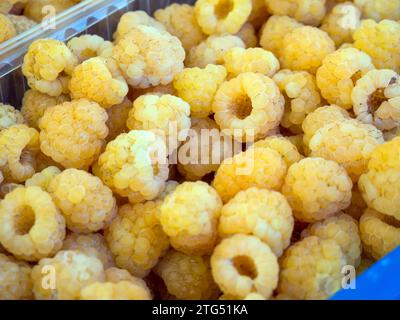 Gelbe Himbeeren in einem Plastiktablett Stockfoto