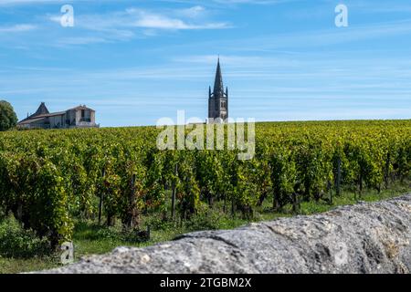 Weinberge in der Nähe von St.. Stadt Emilion, Produktion von Rotwein Bordeaux, Merlot oder Cabernet Sauvignon Trauben auf Weinbergen der Cru-Klasse in Saint-Emilion Weinmarkt Stockfoto