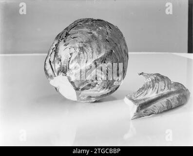 Stillleben eines Rotkohls mit einem losen Blatt daneben ca. 1933 Stockfoto