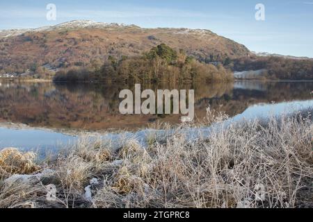 Frostpflanzen am Seeufer von Grasmere im Lake District, an einem stillen Wintermorgen Stockfoto