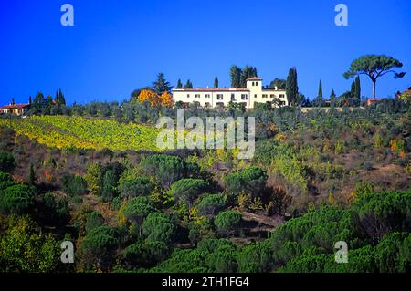 Chianti-Landschaft mit Wald, Weinberg, Olivenhain und Villen. Santa Cristina, Greve in Chianti, Toskana, Italien. Stockfoto