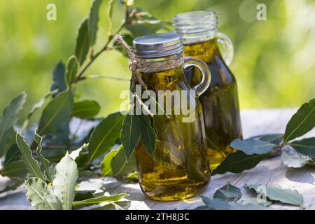 Lorbeer-Öl, Lorbeer-Oel, Lorbeeröl, Lorbeerblätter werden in Olivenöl ausgezogen, Lorbeerbaum, Lorbeer-Baum, echter Lorbeer, Edel-Lorbeer, Edler Lorbe Stockfoto