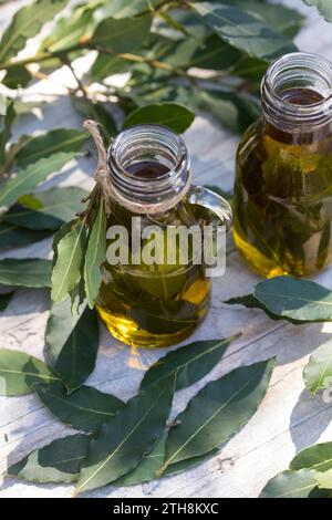 Lorbeer-Öl, Lorbeer-Oel, Lorbeeröl, Lorbeerblätter werden in Olivenöl ausgezogen, Lorbeerbaum, Lorbeer-Baum, echter Lorbeer, Edel-Lorbeer, Edler Lorbe Stockfoto