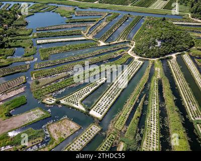 Das Neretva-Tal ist das Flussdelta der Neretva, ein Fluss, der durch Bosnien und Herzegowina und Kroatien fließt und in die Adria mündet. Stockfoto