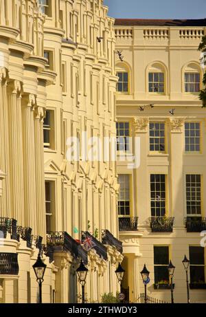 Sonnenlicht auf den Stuckfassaden des Brunswick Square, Hove East Sussex England Fassaden der westlichen Terrasse. Regency-Periode Klasse I gelistete Gebäude Architektur. Brighton, England Stockfoto