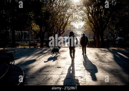 Barcelona, Spanien. Dezember 2023. Die Sonnenstrahlen filtern früh am Morgen durch die Bäume, während Menschen in den letzten Herbsttagen mit Hunden auf dem Plaza Tetuan in Barcelona spazieren gehen. Quelle: Jordi Boixareu/Alamy Life News Stockfoto