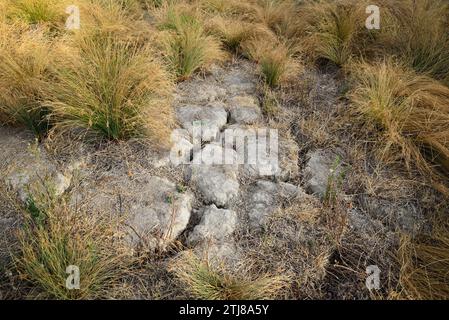 Risse im Trockenbett des Colomera Reservoir. Benalúa de las Villas, Granada, Andalucía, Spanien, Europa Stockfoto