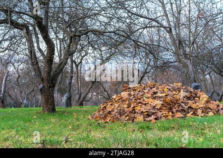 Herbstliche Blätter, die auf einer Rutsche in einem Stadtpark gesammelt wurden. Stockfoto