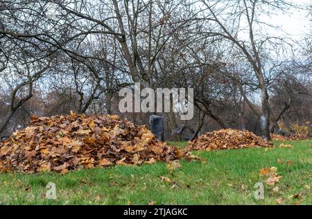 Herbstliche Blätter, die auf einer Rutsche in einem Stadtpark gesammelt wurden. Stockfoto