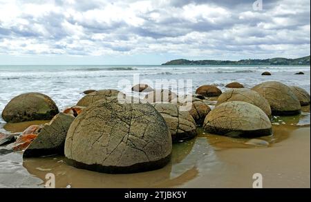 Die Moeraki Boulders sind ungewöhnlich große kugelförmige Felsbrocken, die entlang eines Abschnitts des Koekohe Beach an der wellenförmigen Otago-Küste Neuseelands zwischen Moeraki und Hampden liegen. Sie kommen entweder als isolierte oder als Felsblöcke innerhalb eines Strandabschnitts vor, wo sie in einem wissenschaftlichen Reservat geschützt wurden. Diese Felsbrocken sind graufarbene septarische Konkretionen, die aus den sie umgebenden Schlamm- und Grundgesteinen exhumiert und durch Küstenerosion auf den Strand konzentriert wurden. Besonders in den letzten Jahren waren die Felsbrocken eine beliebte Touristenattraktion Stockfoto