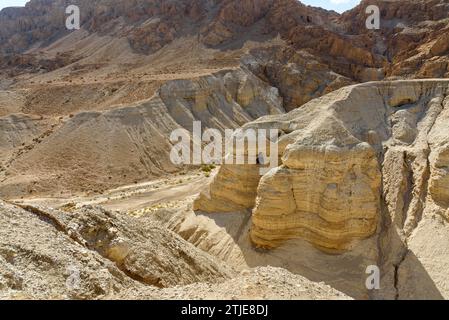 Die Qumran-Höhlen sind eine Reihe von natürlichen und künstlichen Höhlen, die rund um die archäologische Stätte von Qumran in der judäischen Wüste gefunden wurden. In diesen Höhlen wurden die Schriften vom Toten Meer entdeckt. Wadi Qumran Cave 4 wurde im August 1952 entdeckt und im folgenden Monat von Gerald Lankester Harding, Roland de Vaux und J-zef Milik ausgegraben. Höhle 4 ist eigentlich zwei von Hand geschnittene Höhlen (4a und 4b), aber da die Fragmente gemischt wurden, werden sie als 4Q bezeichnet. Neunzig Prozent der Schriftrollen und Schriftzüge vom Toten Meer wurden hier gefunden. Kredit: Digitaleye/JdeSousa Stockfoto