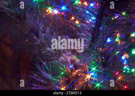 Urlaub elektrische bunte Girlanden auf Kiefer Zweig.Weihnachtsbaum Dekoration. Stockfoto