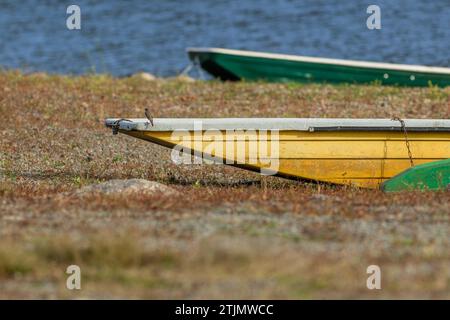 Zwei kleine Boote, gelb und grün, liegen am Sandstrand. Ein kleiner Vogel, ein schwarzer Rothahn, der auf dem gelben Boot sitzt. Sonniger Tag, Fluss. Stockfoto