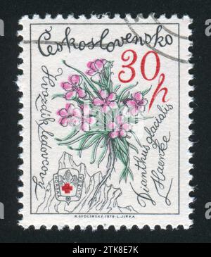 TSCHECHOSLOWAKEI - UM 1979: Stempel gedruckt von der Tschechoslowakei, zeigt Pinks, um 1979 Stockfoto