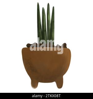 Aquarellillustration von sansevieria im Boden, isoliert auf weißem Hintergrund. Botanische Illustration einer Zimmerpflanze in einem Topf. Handgezogener Sukkel Stockfoto