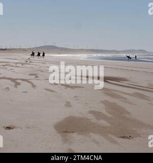 Reitreiter und Surfer am Sandstrand mit Windturbinen dahinter in Essaouira, der „windigen Stadt“, Marokko. Dezember 2023 Stockfoto