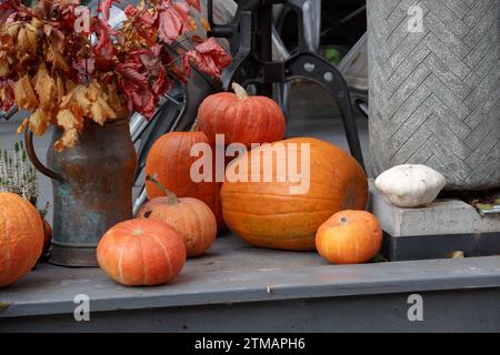 Halloween Dekor mit verschiedenen Kürbissen, Herbstgemüse und Blumen im Garten. Feiertagstisch mit Herbstmotiv für saisonale Partys. Kürbis und Stockfoto