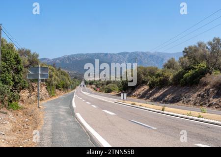 Asphaltstraße in hügelig-bergigem Gelände auf korsika. Heißer Tag. Entlang der Straße wachsen hellgrüne Bäume. Das Gras trocknete unter der heißen Südsonne. Stockfoto