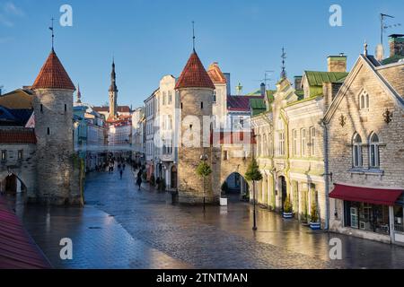 Altes mittelalterliches Viru-Tor in Tallinn. Stadtbild der Altstadt von Tallinn, Estland. Stockfoto