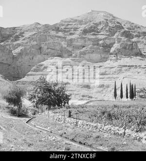 Landschaft in der Nähe von Jericho. Im Hintergrund das Wadi el Kelt mit der St. Georgius Kloster, kleine Höhlen in der Felsenwand ca. 1950-1955 Stockfoto