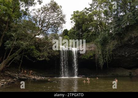 Touristen schwimmen im Tauchbecken bei Killen Falls, Tintenbar im Hinterland von Byron Bay-Ballina Stockfoto