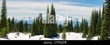 Der Panorama Ridge Trail von British Columbia bietet einen atemberaubenden Blick auf die schneebedeckten Berge Stockfoto