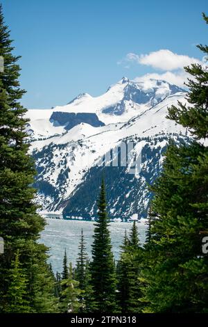 Der Garibaldi Lake glitzert am Fuße des gleichnamigen Berges, umgeben von einer bewaldeten Umarmung im wunderschönen British Columbia Stockfoto