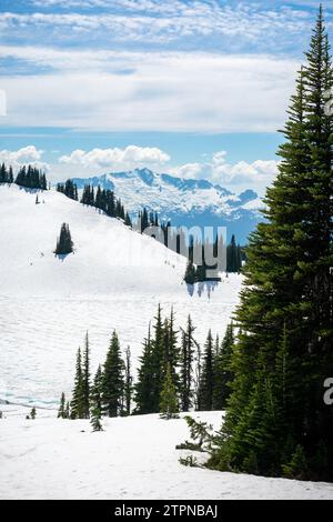 Schnee bedeckt die alpinen Hänge mit der zerklüfteten Garibaldi Range im Hintergrund Stockfoto