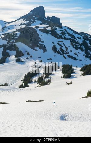 Einsamer Wanderer auf dem Panorama Ridge mit dem markanten Black Tusk in der Ferne. Stockfoto