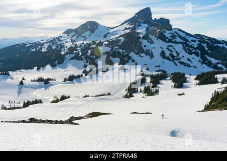 Einsamer Wanderer auf dem Panorama Ridge mit dem markanten Black Tusk in der Ferne. Stockfoto