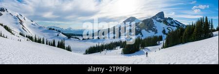 Der weitläufige Panorama Ridge Trail erstreckt sich unter dem berühmten Black Tusk, umgeben von der riesigen Schneelandschaft des Garibaldi Provincial Park. Stockfoto