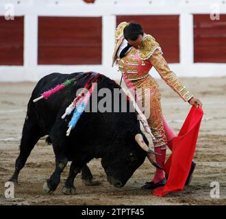 Linares (Jaén), 28.08.2011. Manuel Jesús, El Cid, kämpft gegen einen Stier in Linares. Quelle: Album / Archivo ABC / Agustín Arjona Stockfoto