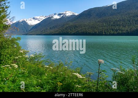 Der Cheakamus Lake glitzert im Frühling, umgeben von blühenden Wildblumen und der atemberaubenden Kulisse der Berge von British Columbia. Stockfoto