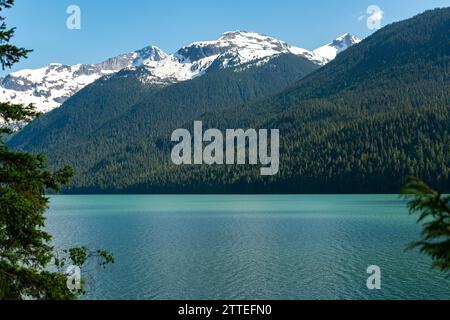 Das türkisfarbene Wasser des Cheakamus Lake ergänzt die schneebedeckten Berge auf die weite Wildnis von British Columbia. Stockfoto