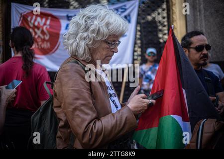 Buenos Aires, Buenos Aires, Argentinien. Dezember 2023. Frau trägt die Flagge Palästinas während des ersten massiven Protests gegen Javier Milei (Credit Image: © Daniella Fernandez Realin/ZUMA Press Wire) NUR REDAKTIONELLE VERWENDUNG! Nicht für kommerzielle ZWECKE! Stockfoto